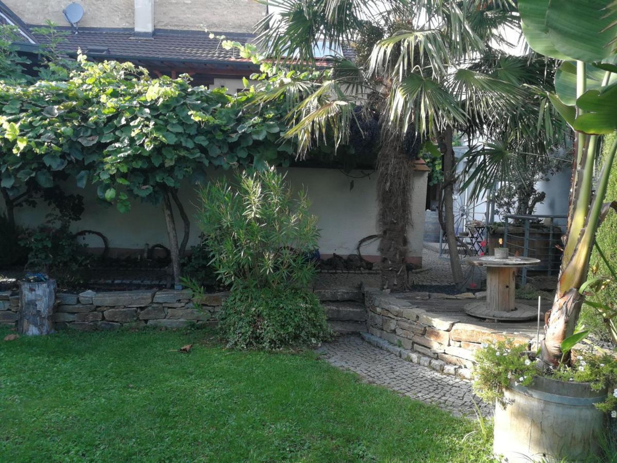 Haus Bienen Bed and Breakfast Ihringen Εξωτερικό φωτογραφία