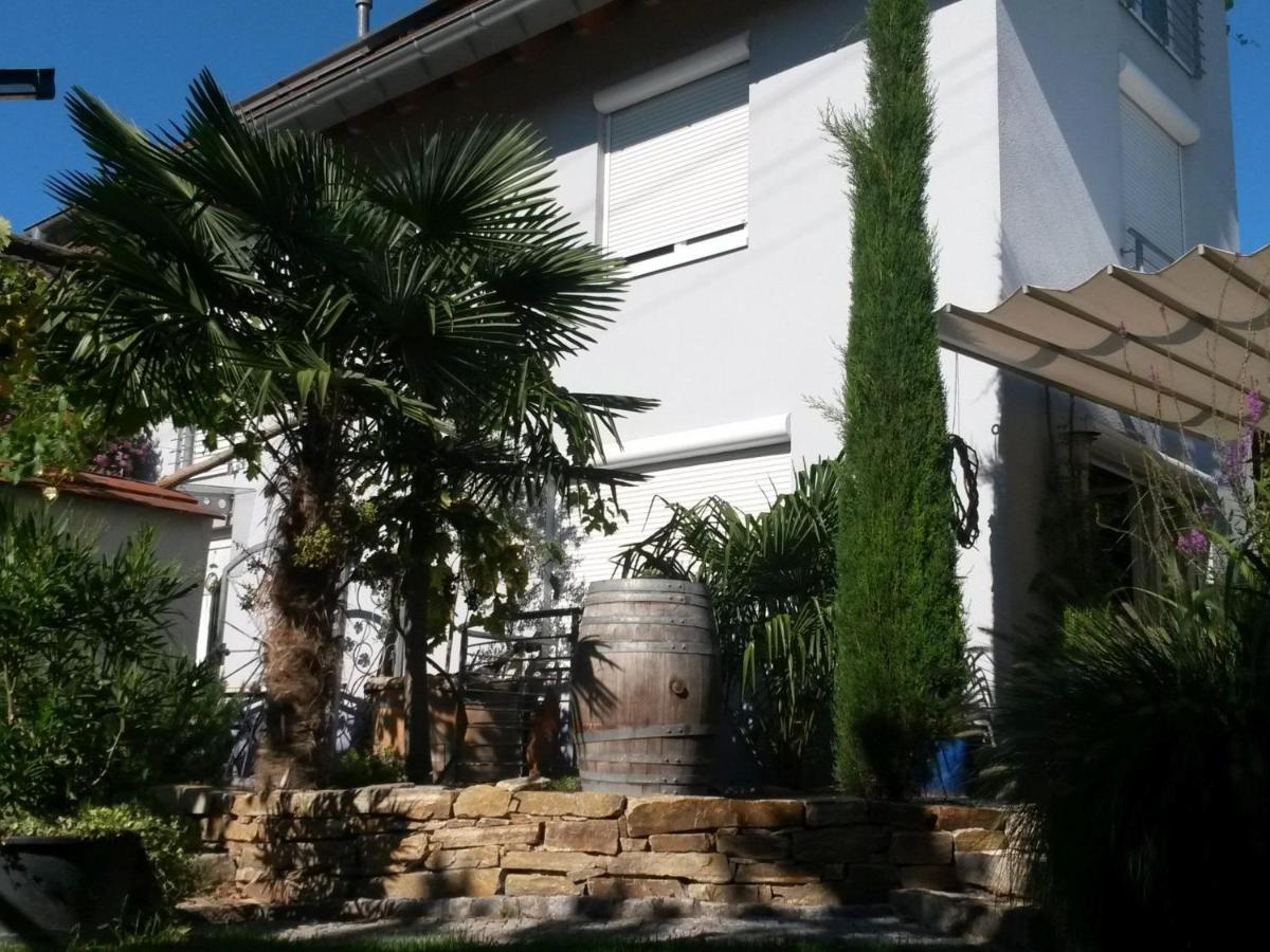 Haus Bienen Bed and Breakfast Ihringen Εξωτερικό φωτογραφία